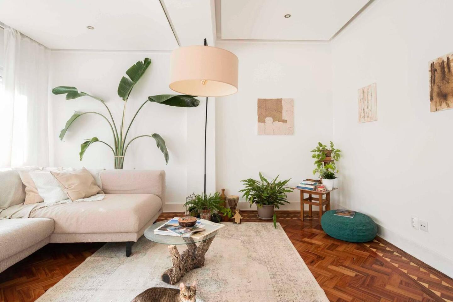 Soar L Marques De Pombal L Privat bolig *